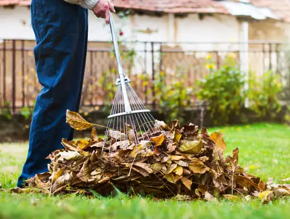 Spring Clean Up