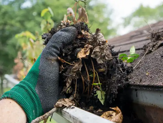 Gutter Clean